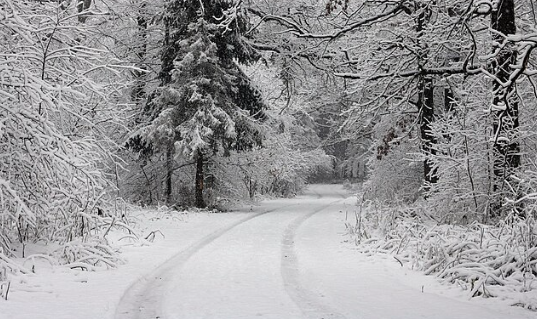 Horrible Winter Weather!